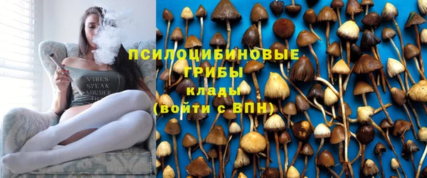 ПСИЛОЦИБИНОВЫЕ ГРИБЫ Алзамай